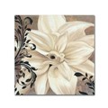 Trademark Fine Art Color Bakery 'Winter White II' Canvas Art, 35x35 ALI4298-C3535GG